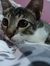Cik Suzy
