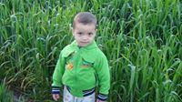 ابو عمر