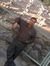 Rakesh ...