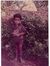Ashok K...