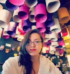 Irasema Fernández