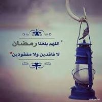 Medo Omar