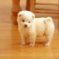 Емилия Иванова