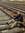 Ahmed Ragab | 12 comments