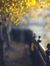 Faris_H...