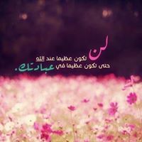 Gehad Mohiy