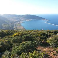 محمد الزهراوي