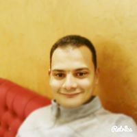 الذئب الماكر