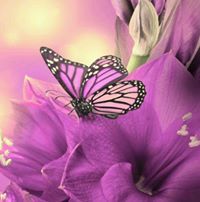 ابورهف العسيري