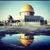 Asmaa Ahmed