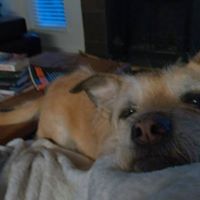 Katelyn Steiger-Relich