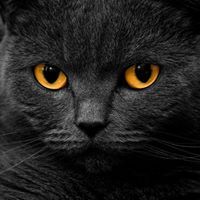 ภาคิน รักวินัย