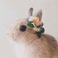 آية الرحمان 'ۦ