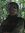 Rofiq Arif