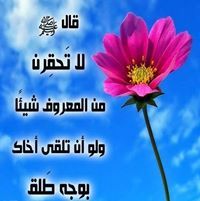 أسد الدروقي