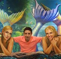 אופק שהרבני