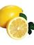 Isi Lemons