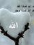 Ahmed M...