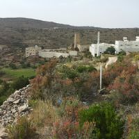 سلطان العمري