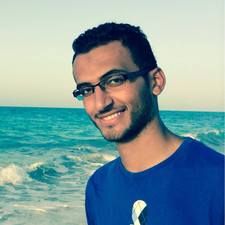 Mohamed Abdelgalil