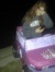 Brooke ...