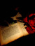 The Ardent Bibliophile