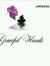 Jasmine G