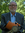 Bill Parker (BillParker_scifi) | 2 comments