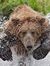 Bear Fix