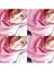 Ainun M...