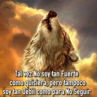 Luis Gs