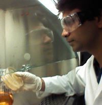 Manish Baviskar