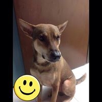 Maythaphorn Uttraphan