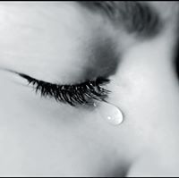 العندليب القرآني