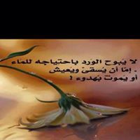 Dr-Hala Salem