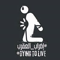 إيمان الازهرى