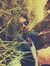 Sathish...