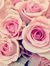 Mariam ...