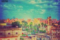 Ahmed Tarek