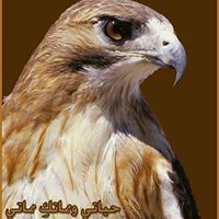 قتيبة محمد ابو جامع