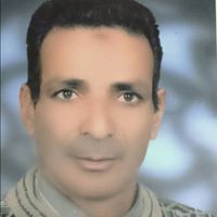 نيفين عماره