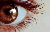 مشاري الجهني