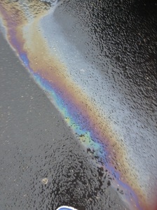 ❂ ᵖ㉹Ｔᵃˡ ❂