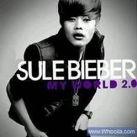 Sule Biber