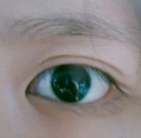 Phạm Hạ