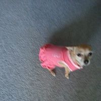 Susan Patchell-Erickson