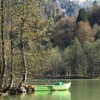 سامي العبادي