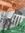 Ankit L...