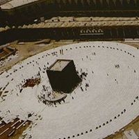 طلال العلاطي