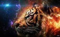 Abhijith Suresh